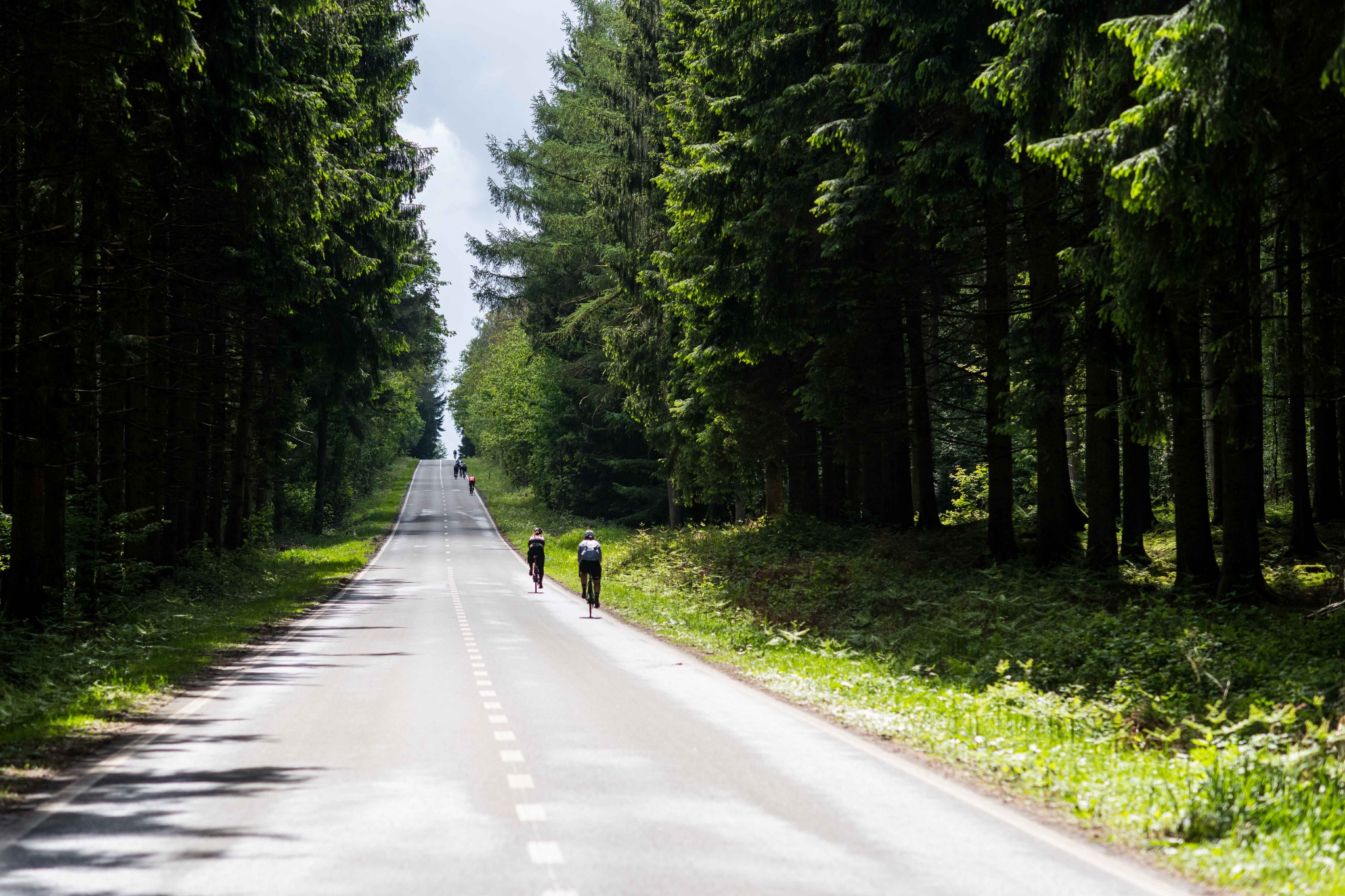 Cyclists on a forest road during Belgium Bike Fest