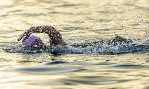 Surplace Sports - Tri Sports Surplace - Concept